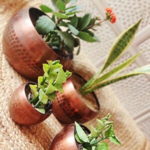 Madhuram Planters, online Metal Item store